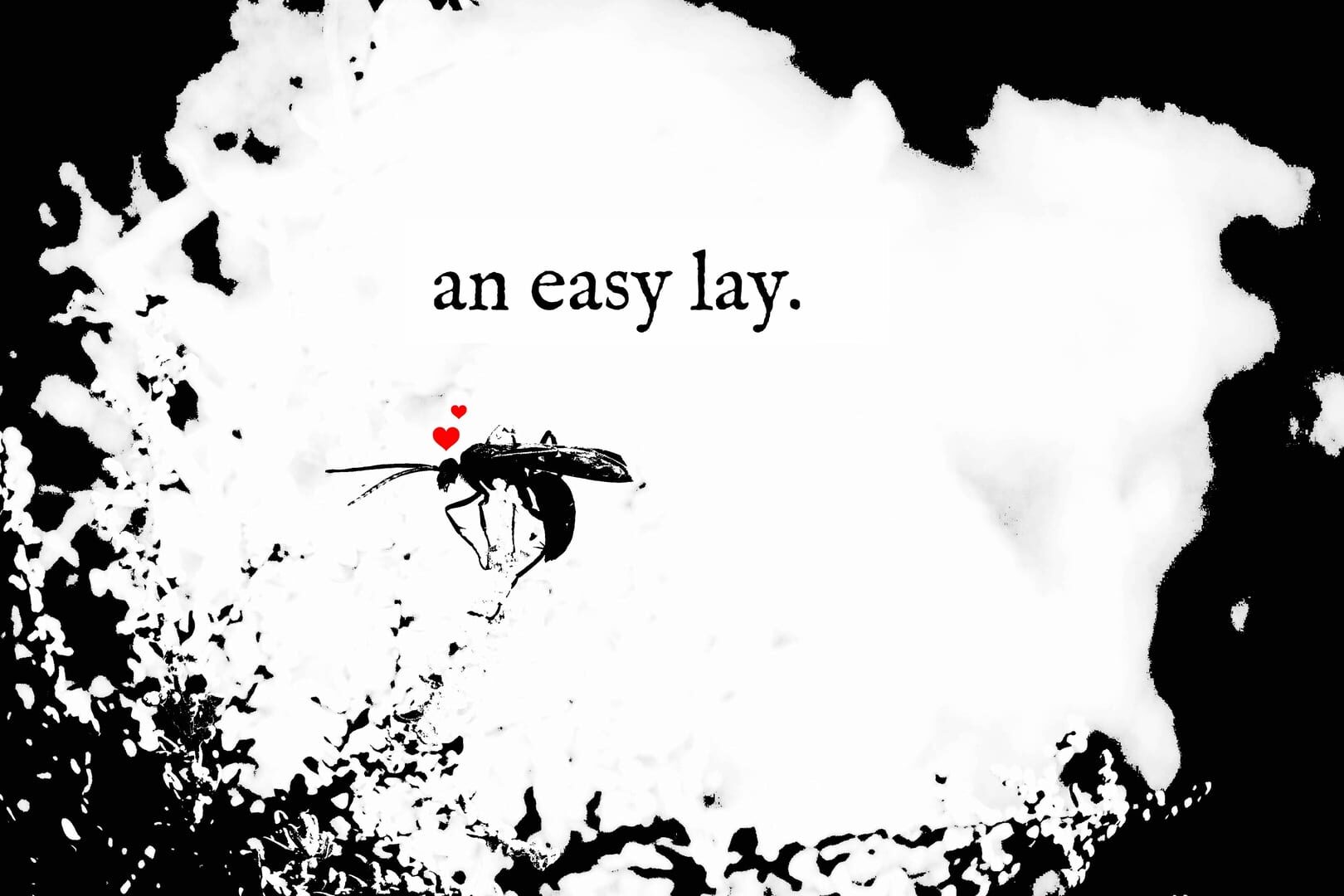 An easy lay (2017)