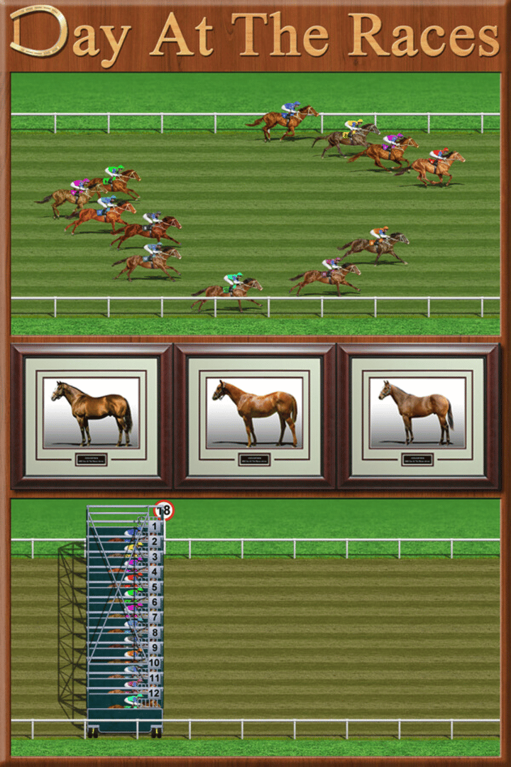 Day at the Races Cover