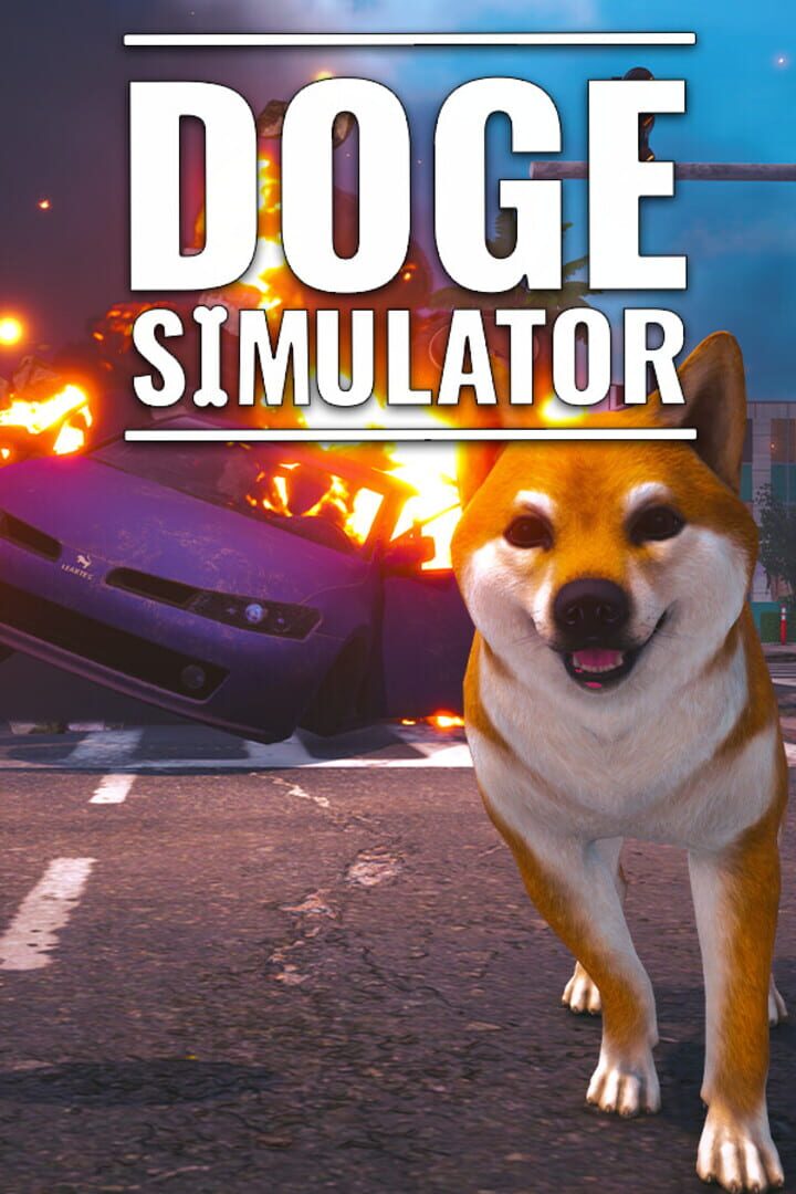 Doge Simulator