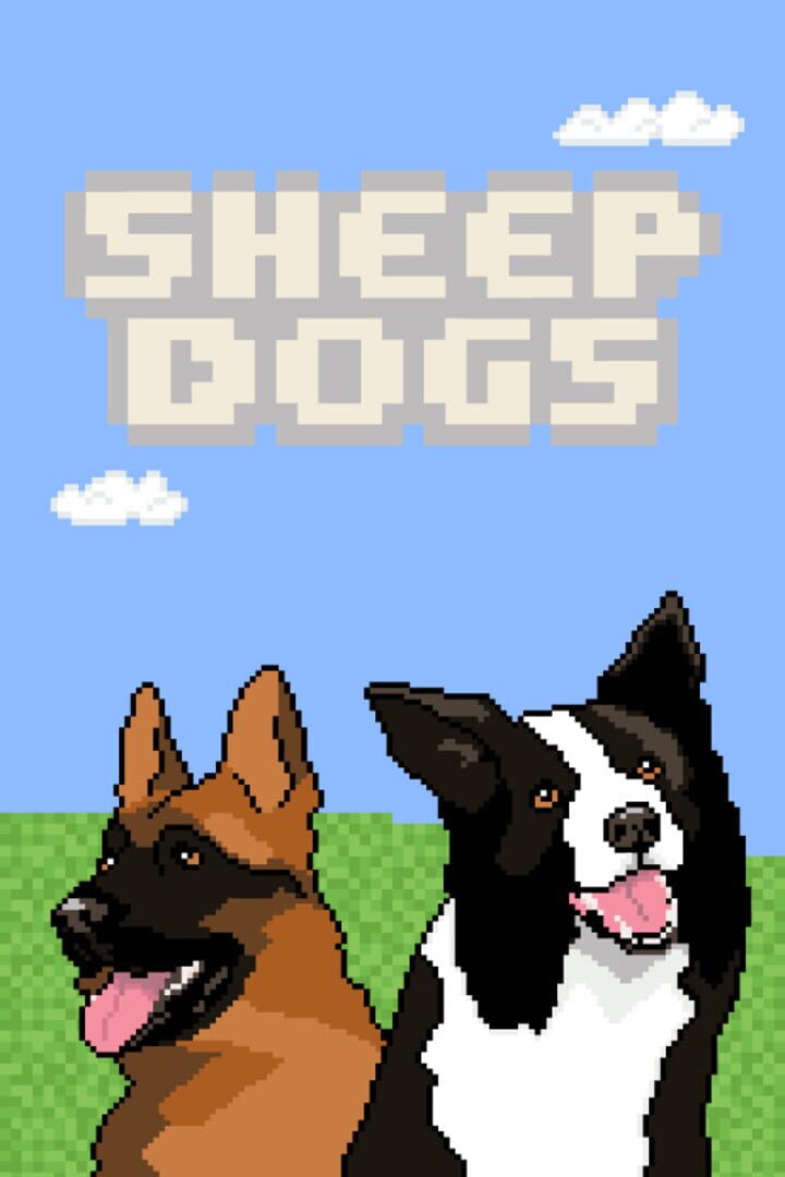 Sheepdogs