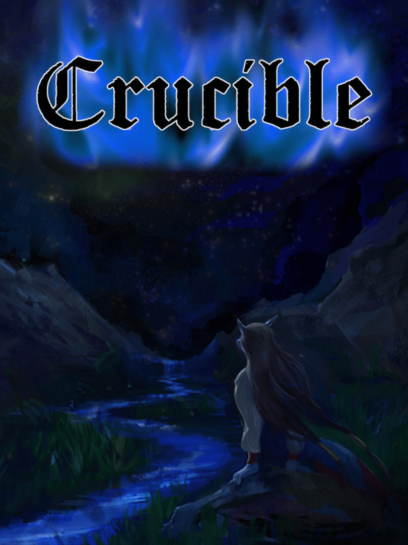 Crucible Cover