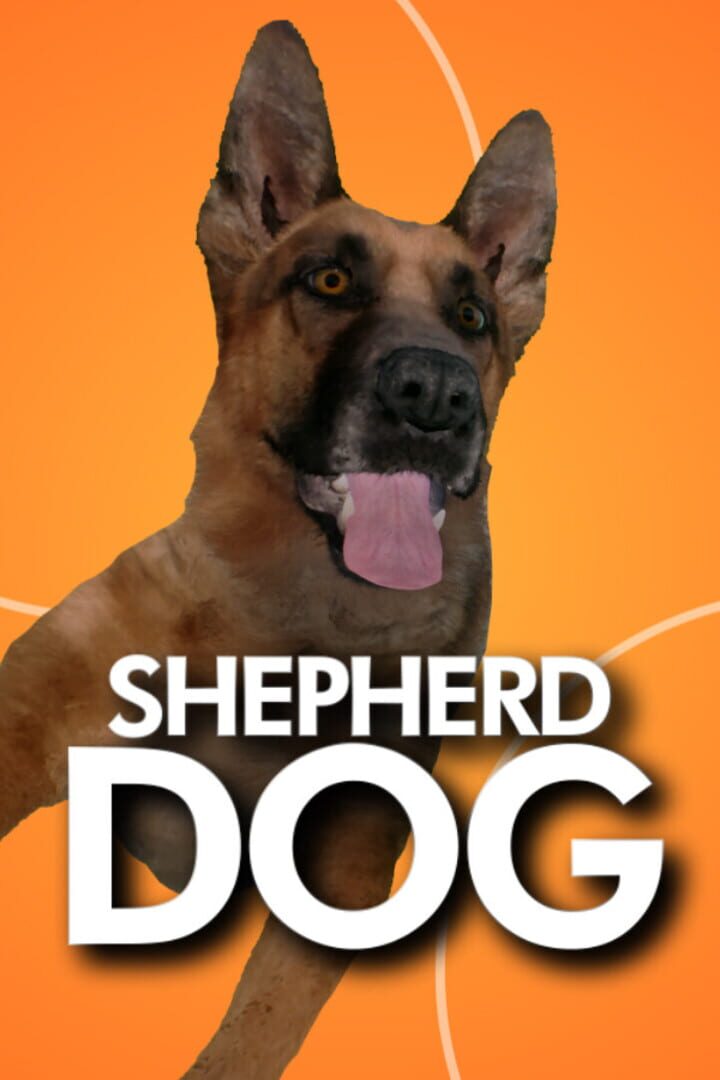 Shepherd Dog