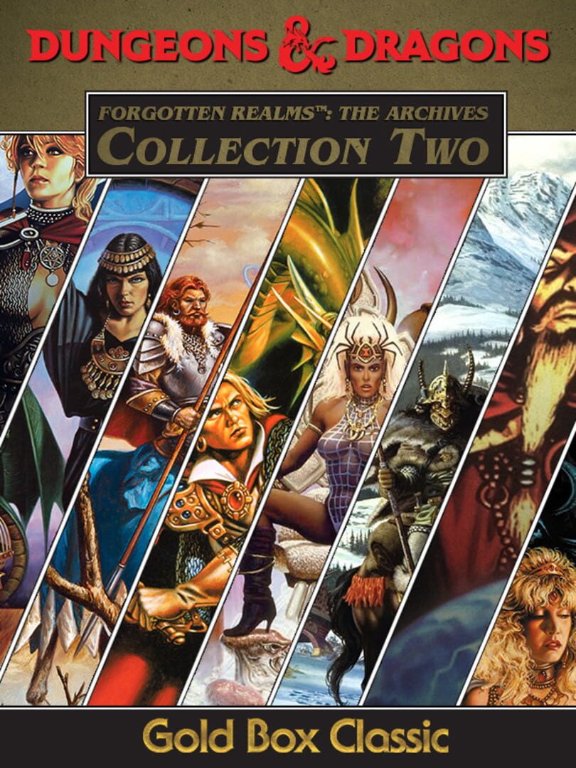 Cover image of Forgotten Realms: The Archives - Collection Two