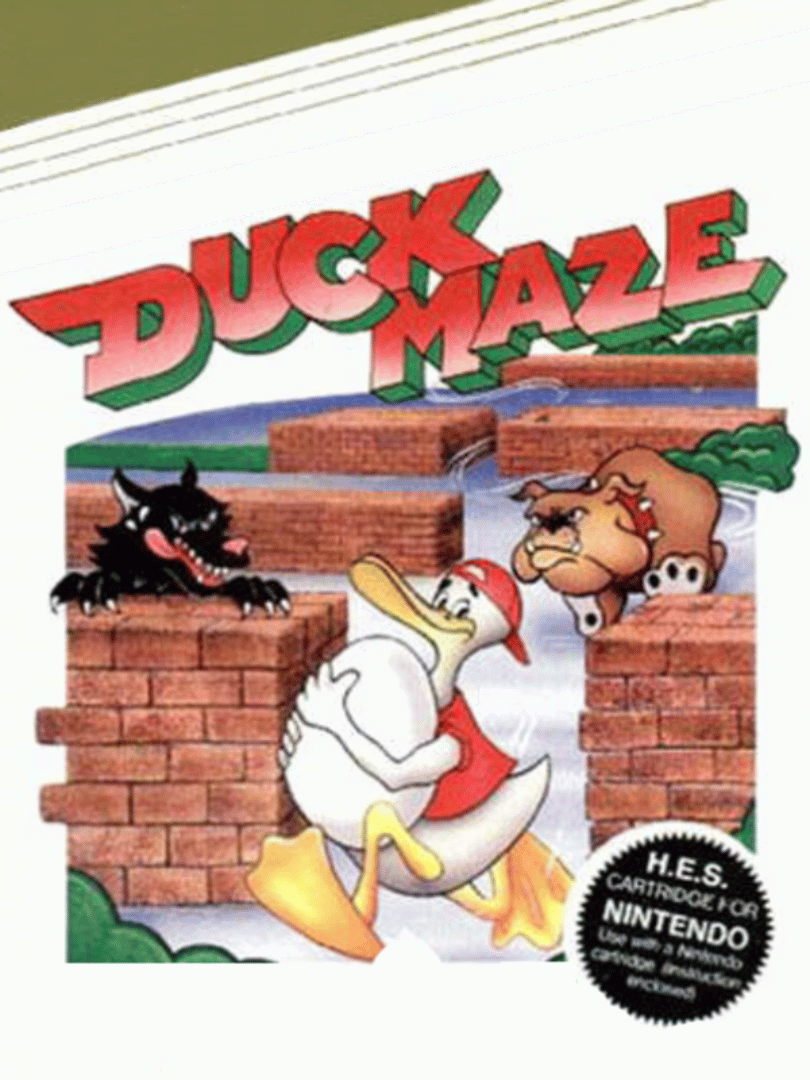 Duck Maze Cover
