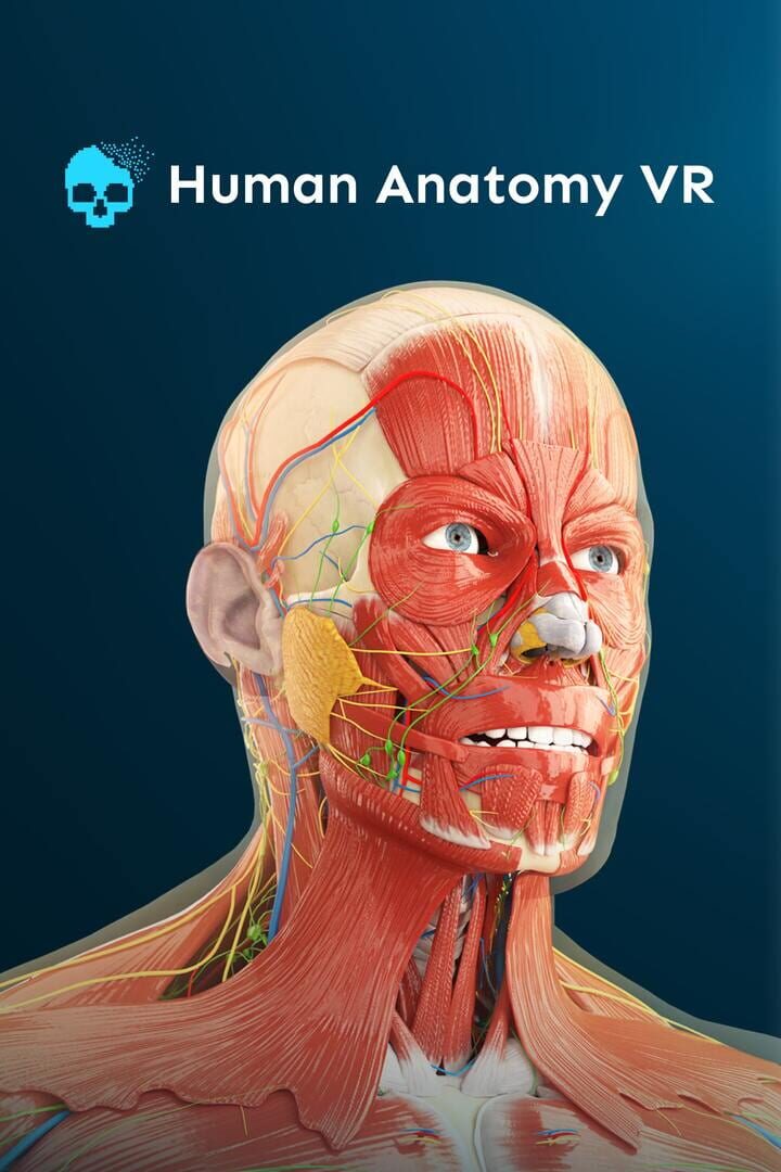 Human Anatomy VR