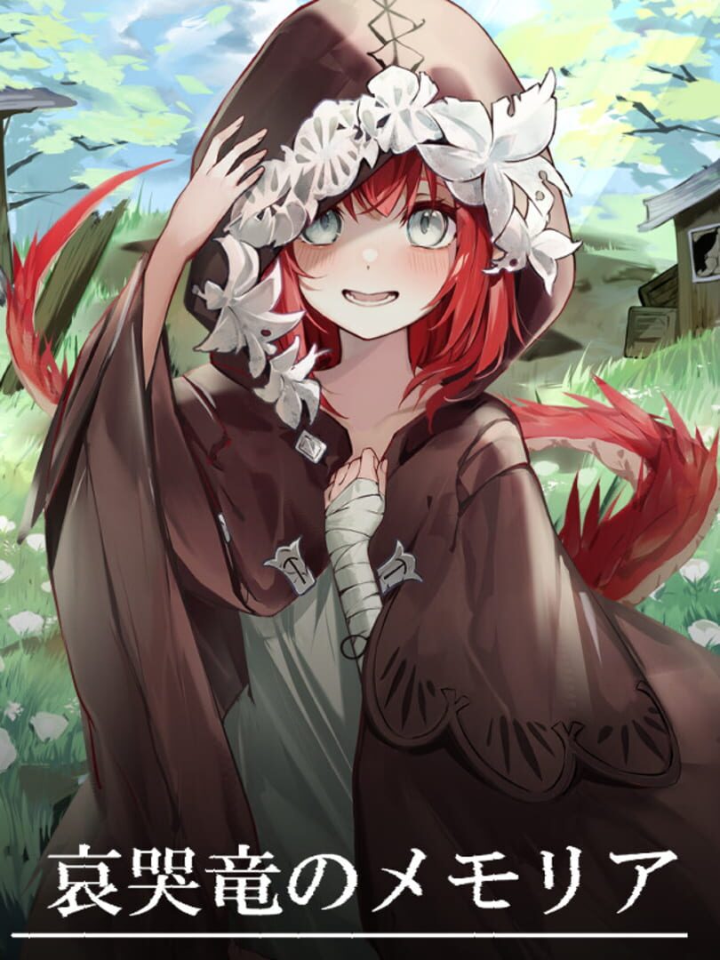 Aikokuryuu no Memoria