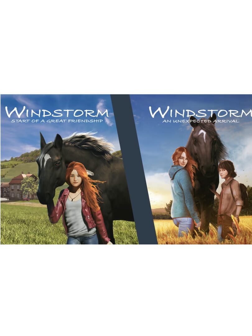 Cover image of Windstorm: Double Pack