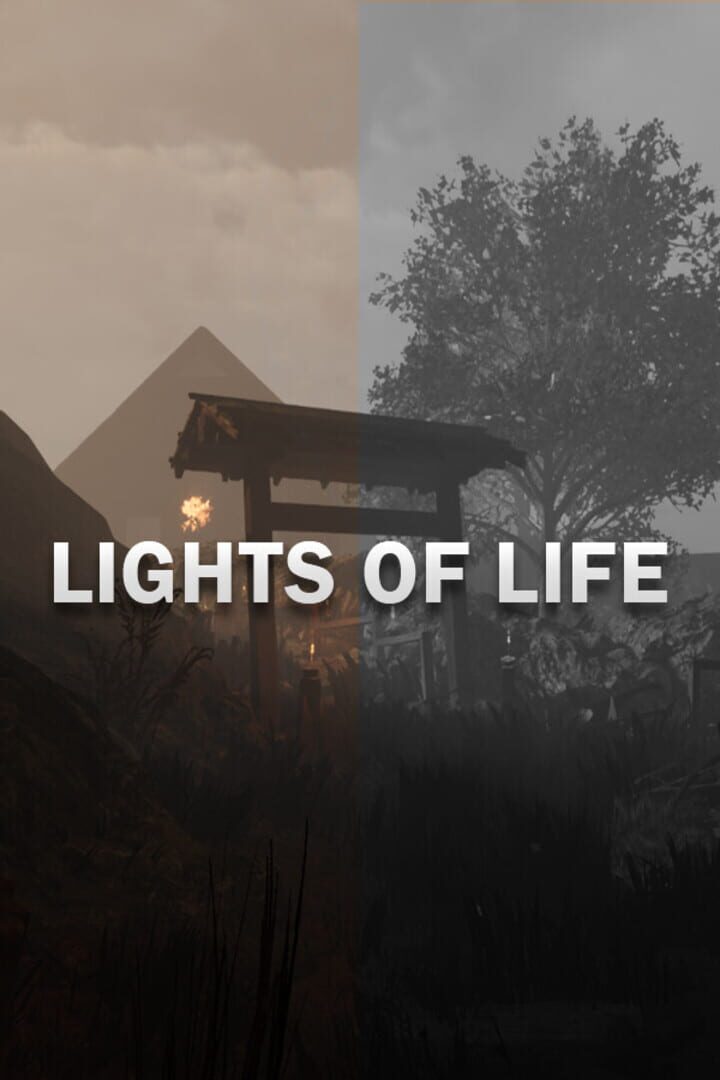Lights of Life