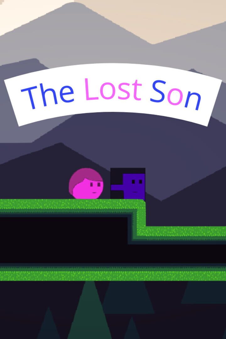 Cover image of The Lost Son