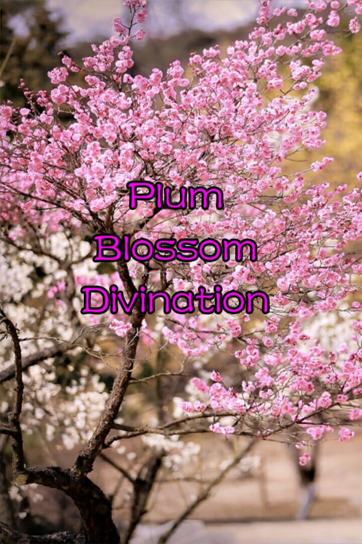 Plum Blossom Divination (2023)