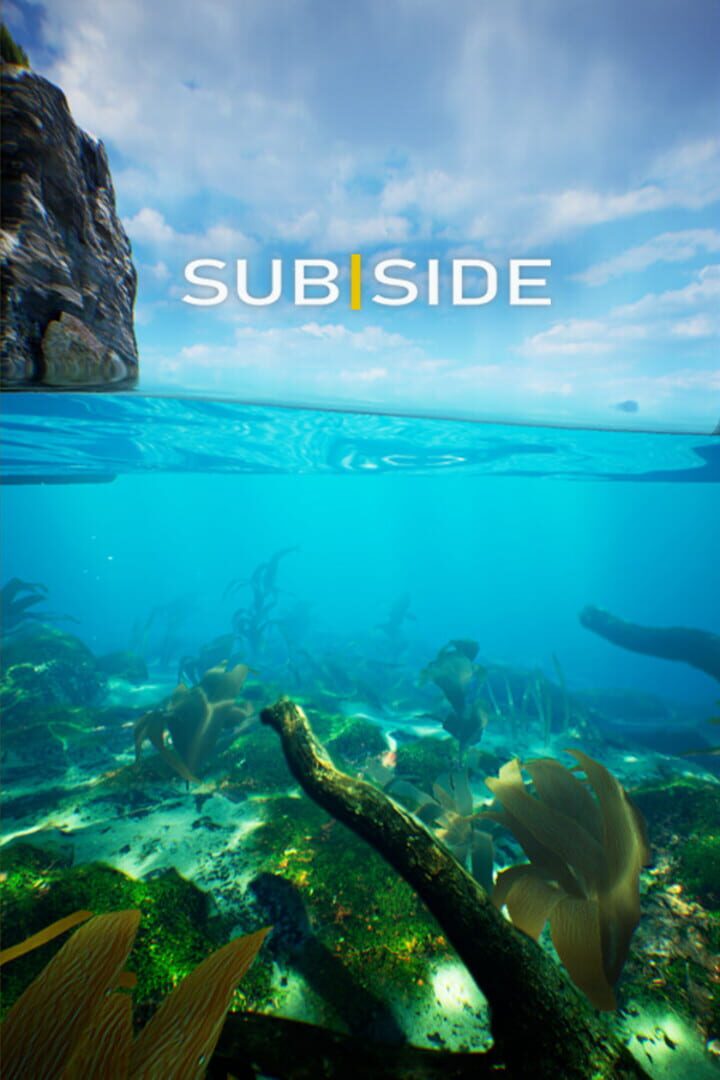 Subside (2024)