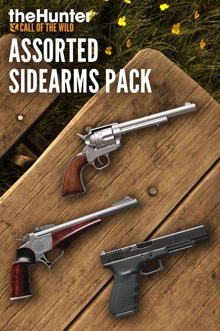 Cover image of TheHunter: Call of the Wild - Assorted Sidearms Pack