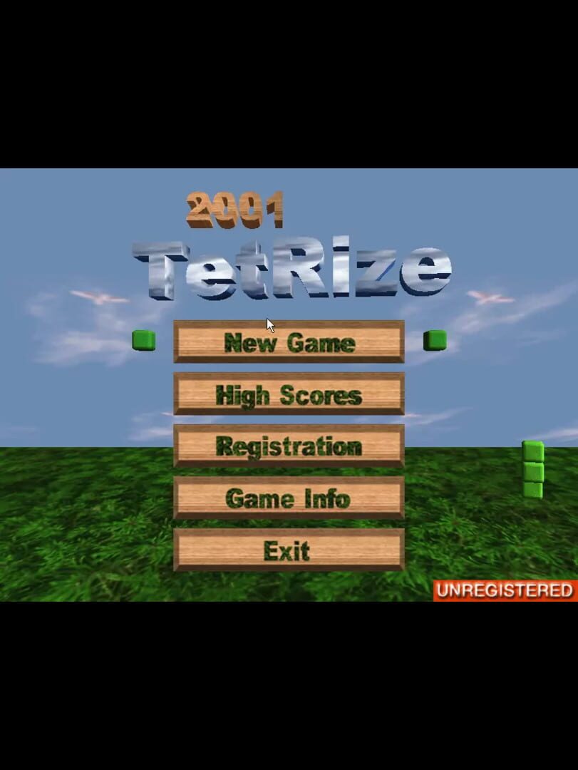 Cover image of 2001 TetRize