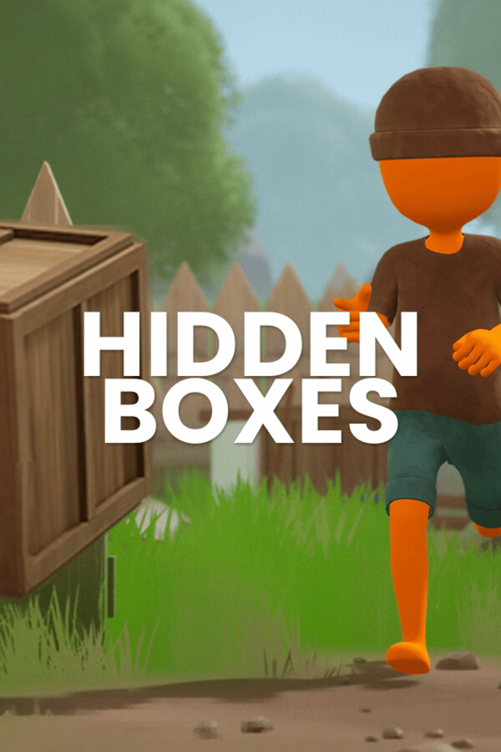 Hidden Boxes Cover