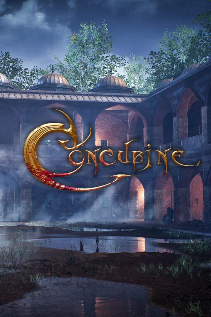 Cover image of Concubine