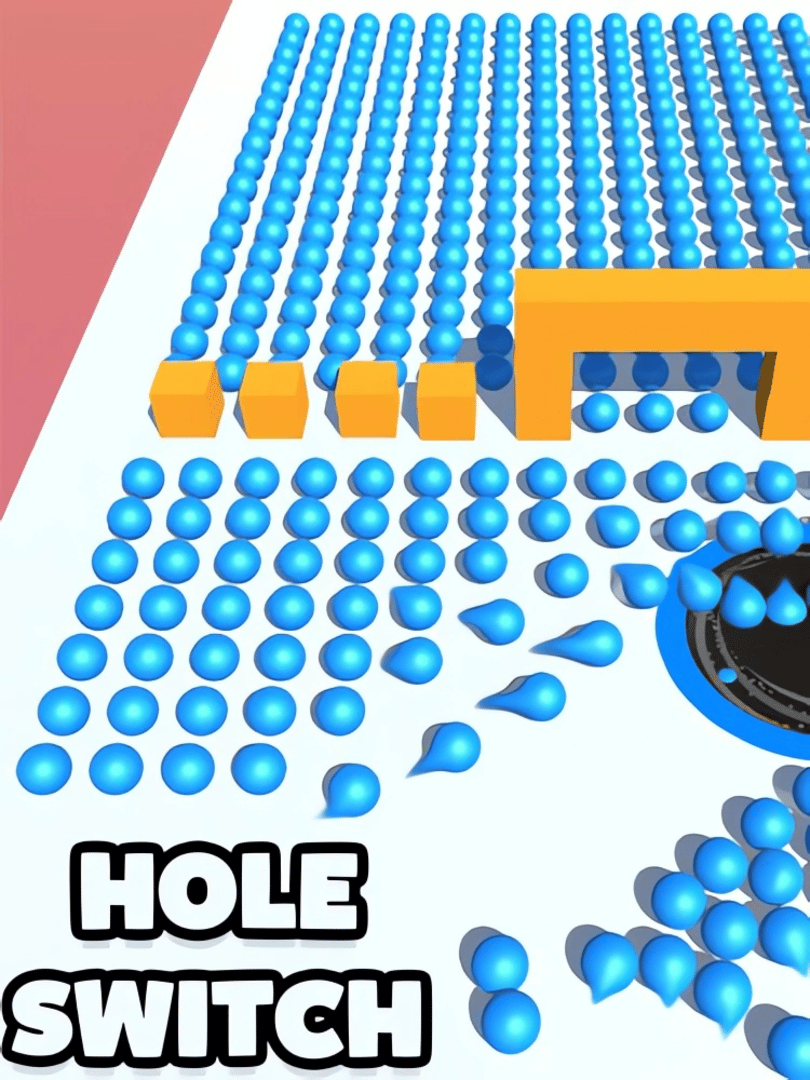 Hole Switch Cover