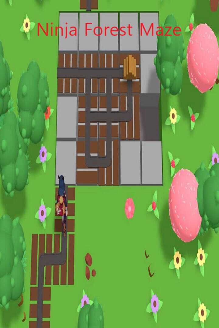 Ninja Forest Maze