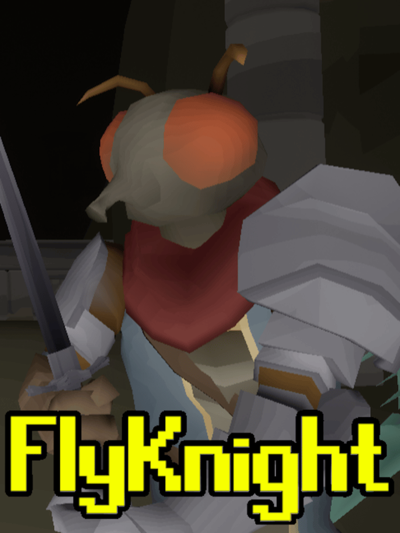 FlyKnight Cover