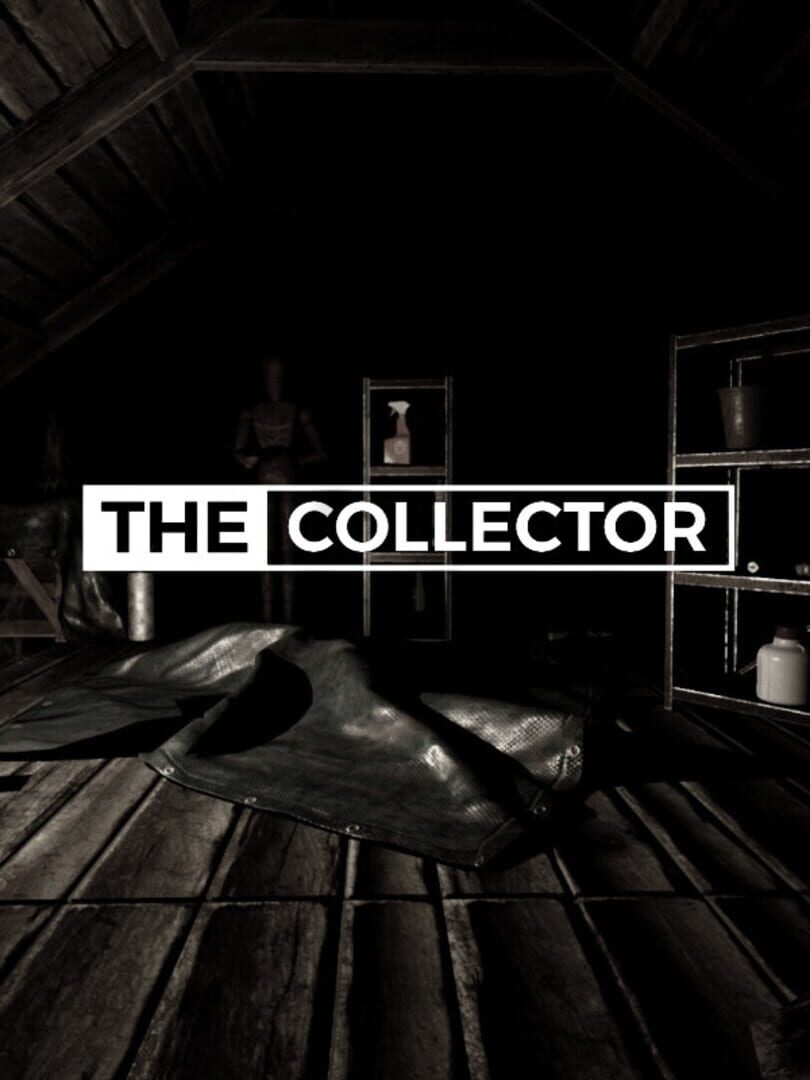 Cover image of The Collector