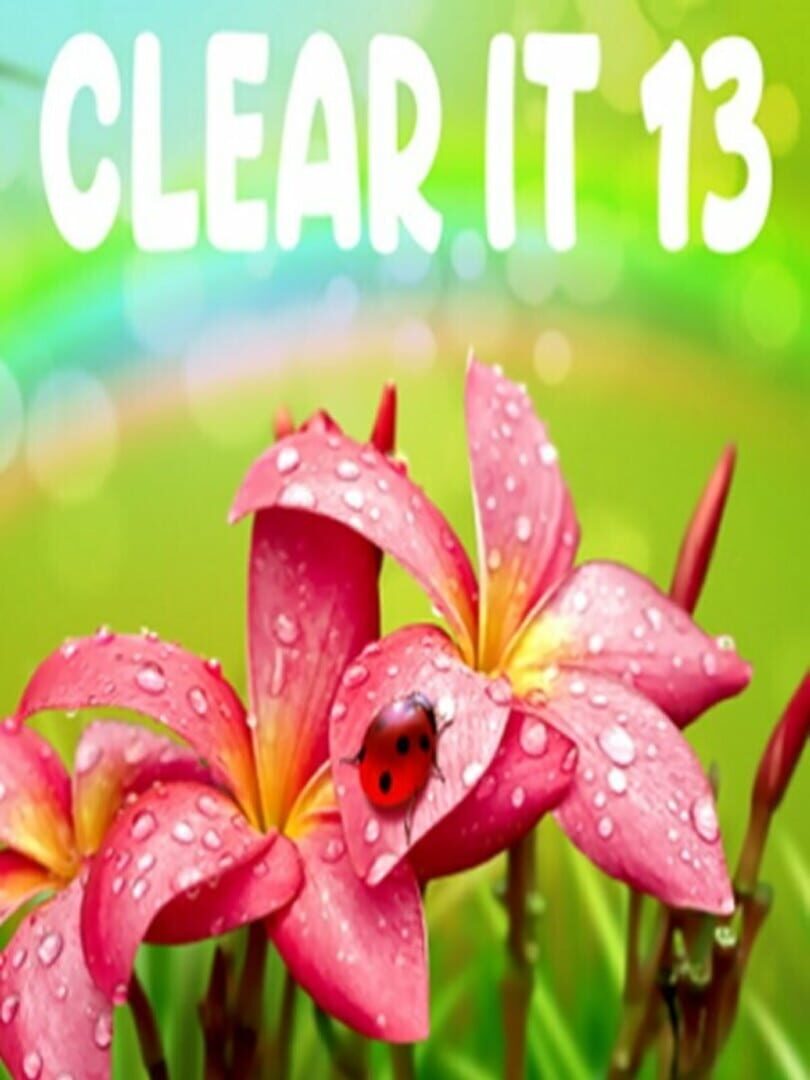 ClearIt 13