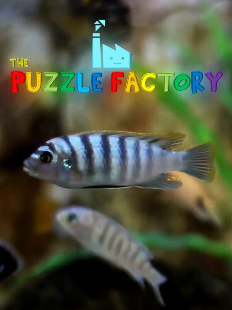 The Puzzle Factory