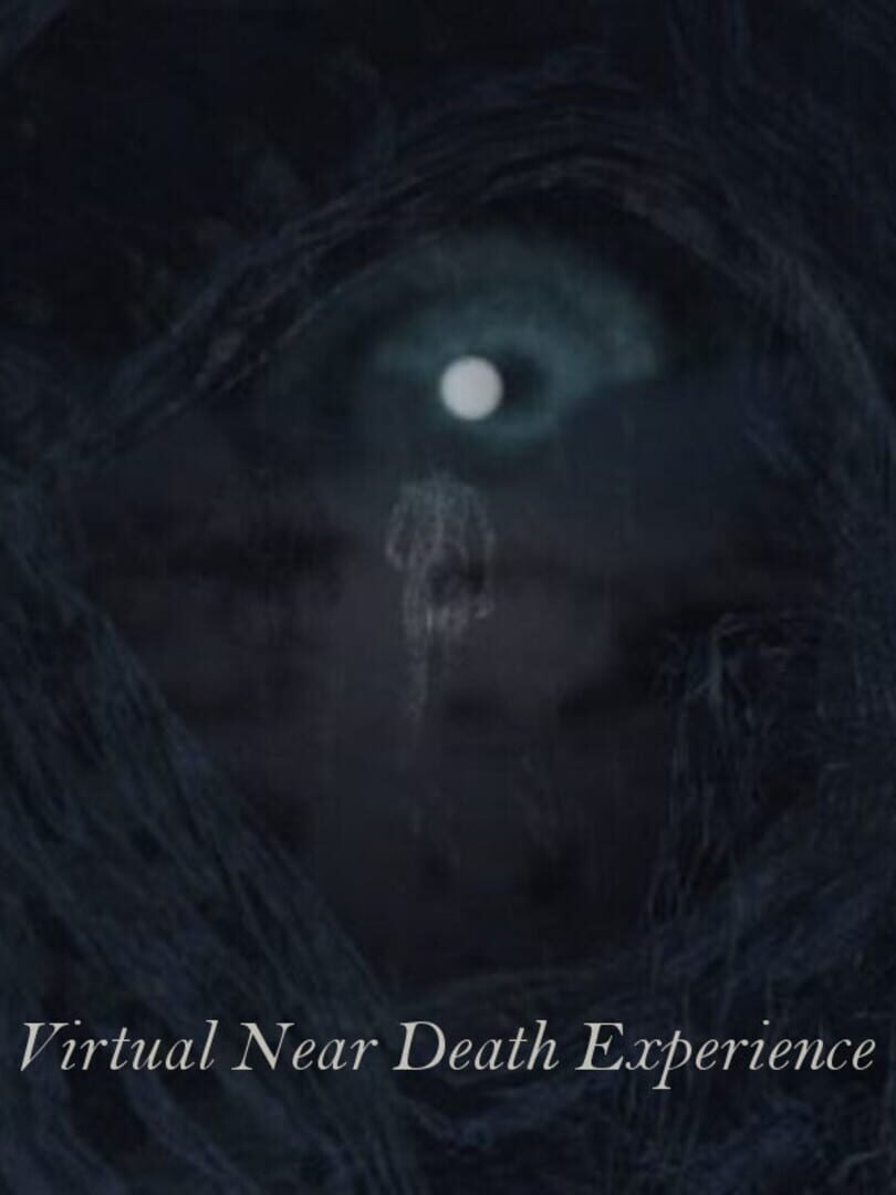 Virtual Near Death Experience