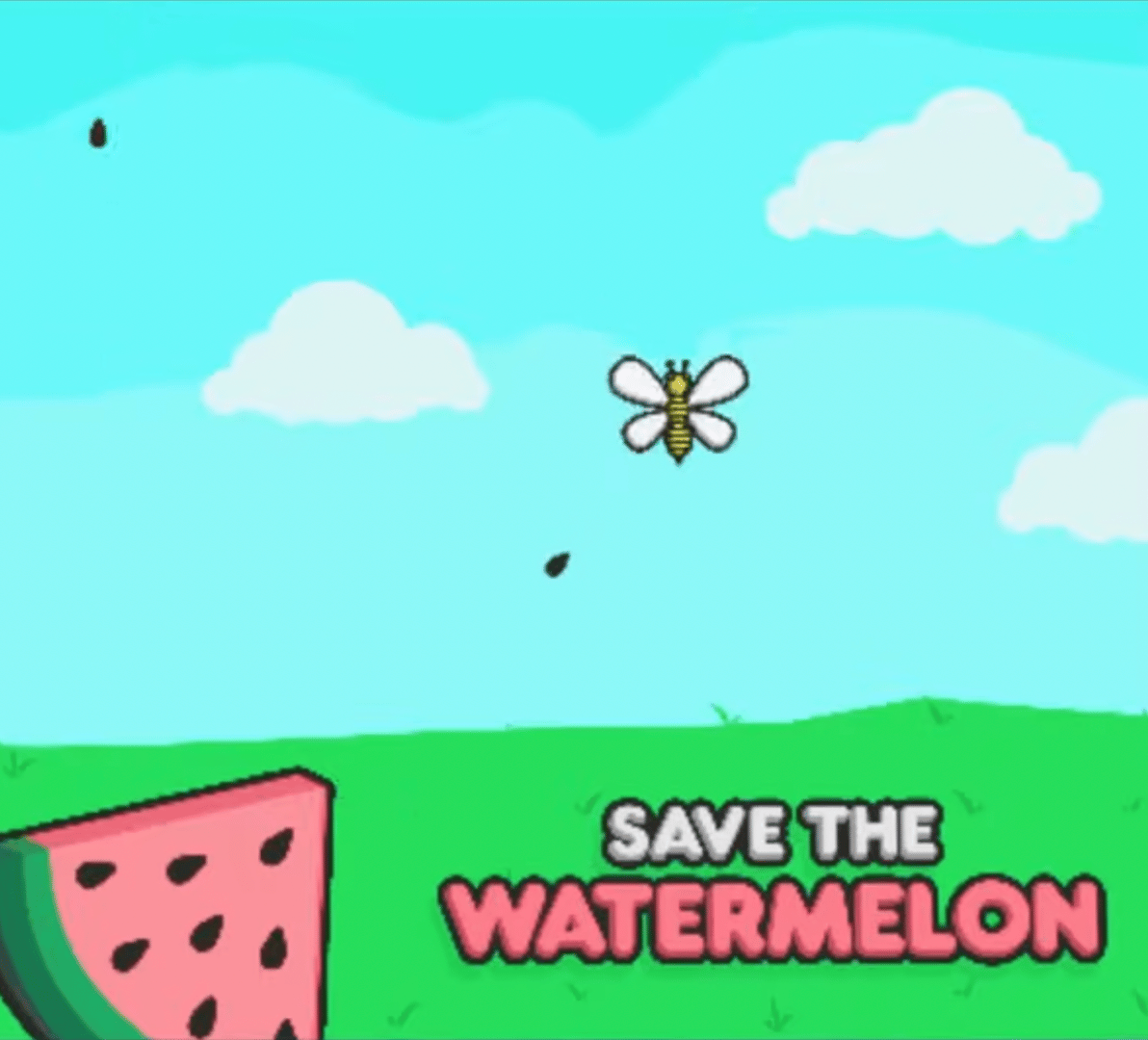 Save the Watermelon Cover