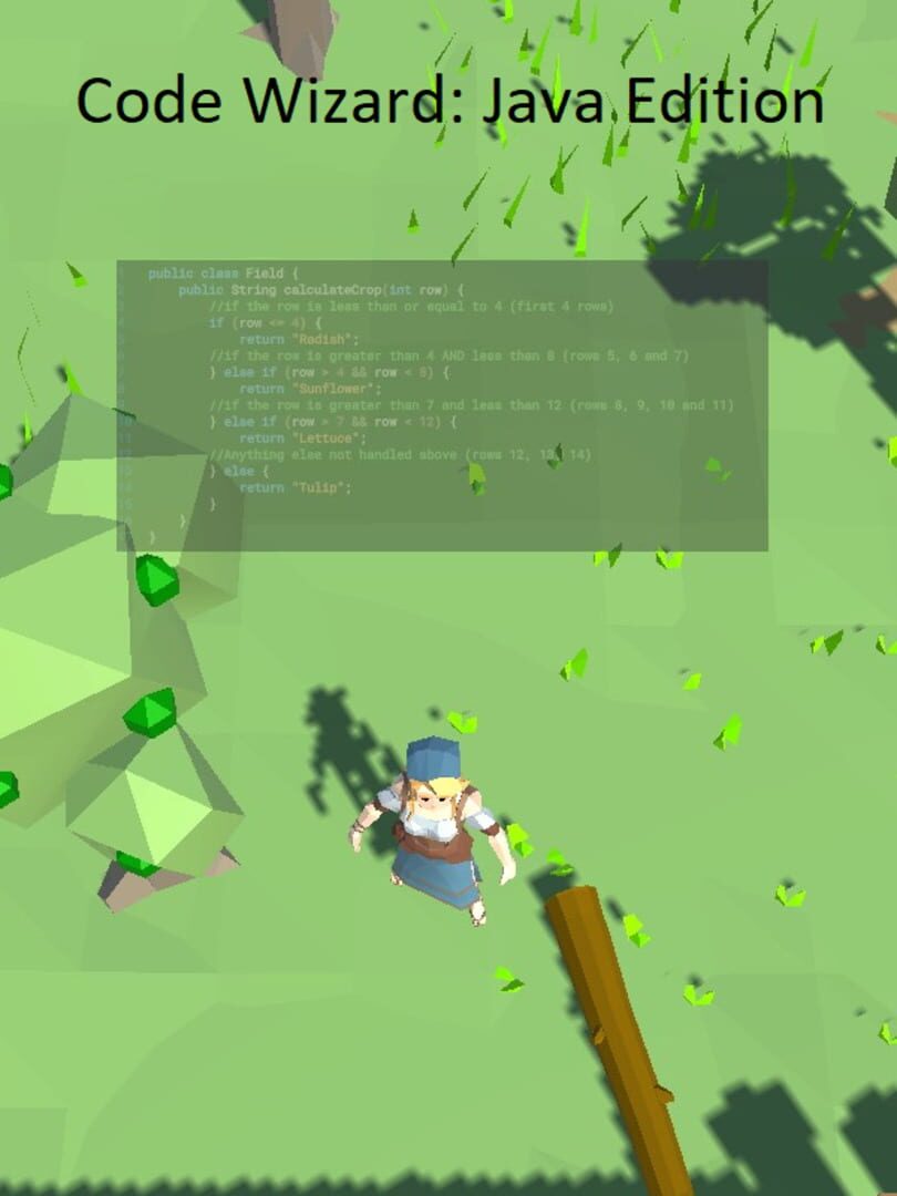 Code Wizard: Java Edition