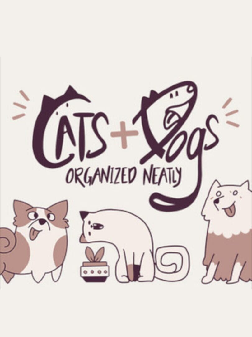 Bundle : Organized Neatly