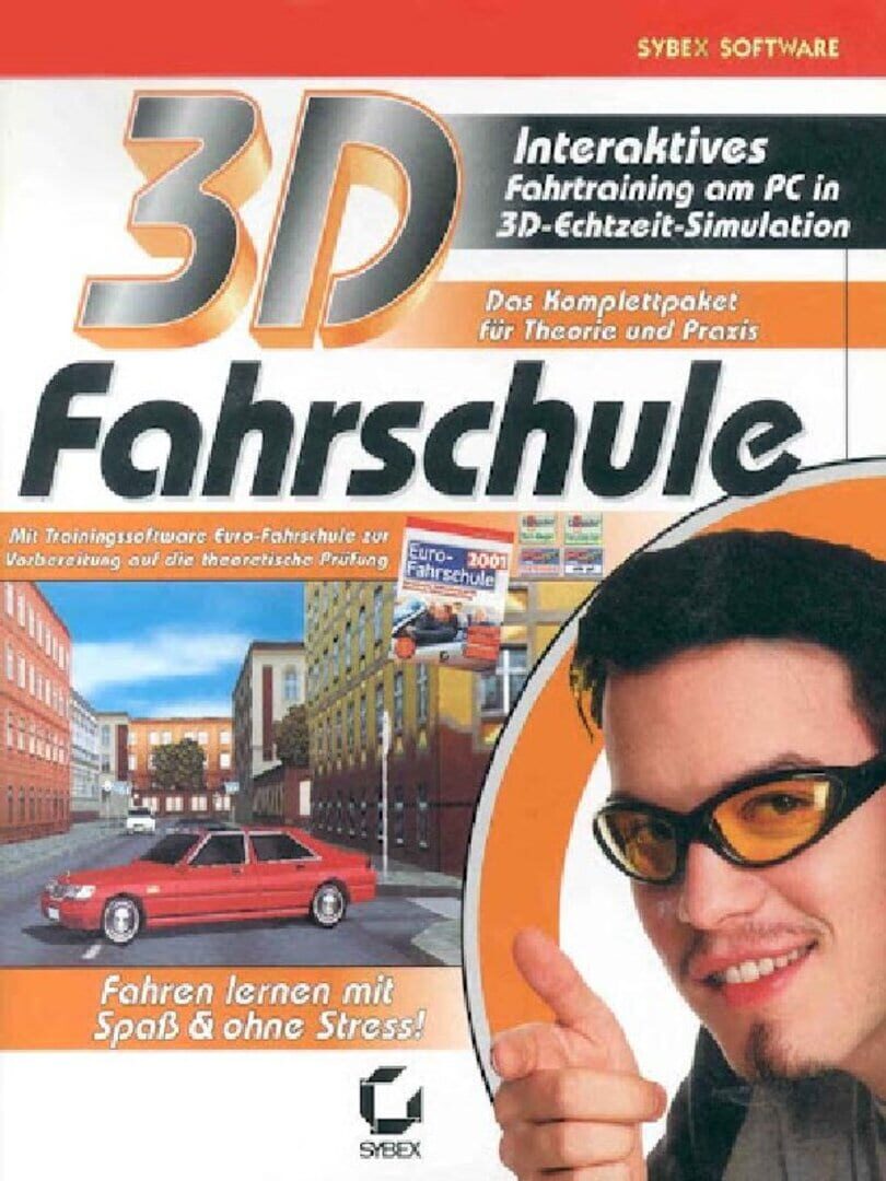 3D Driving Simulator (2001)