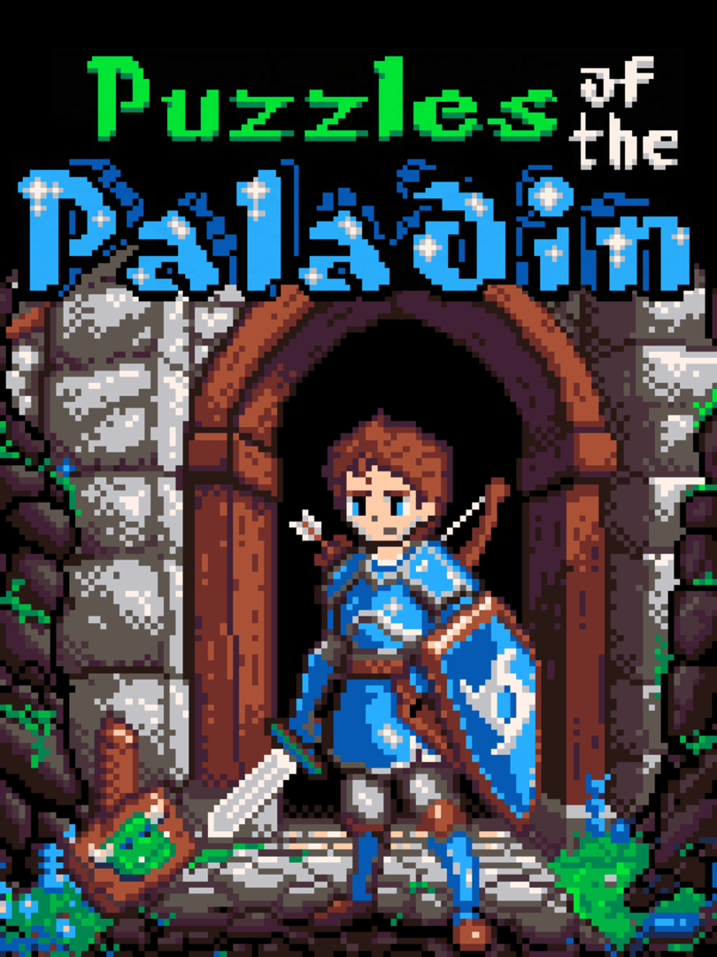 Puzzles of the Paladin Cover