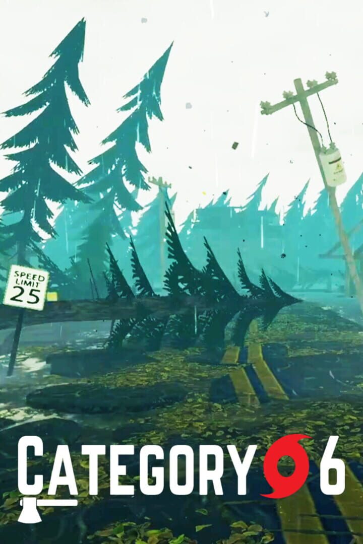 Cover image of Category 6