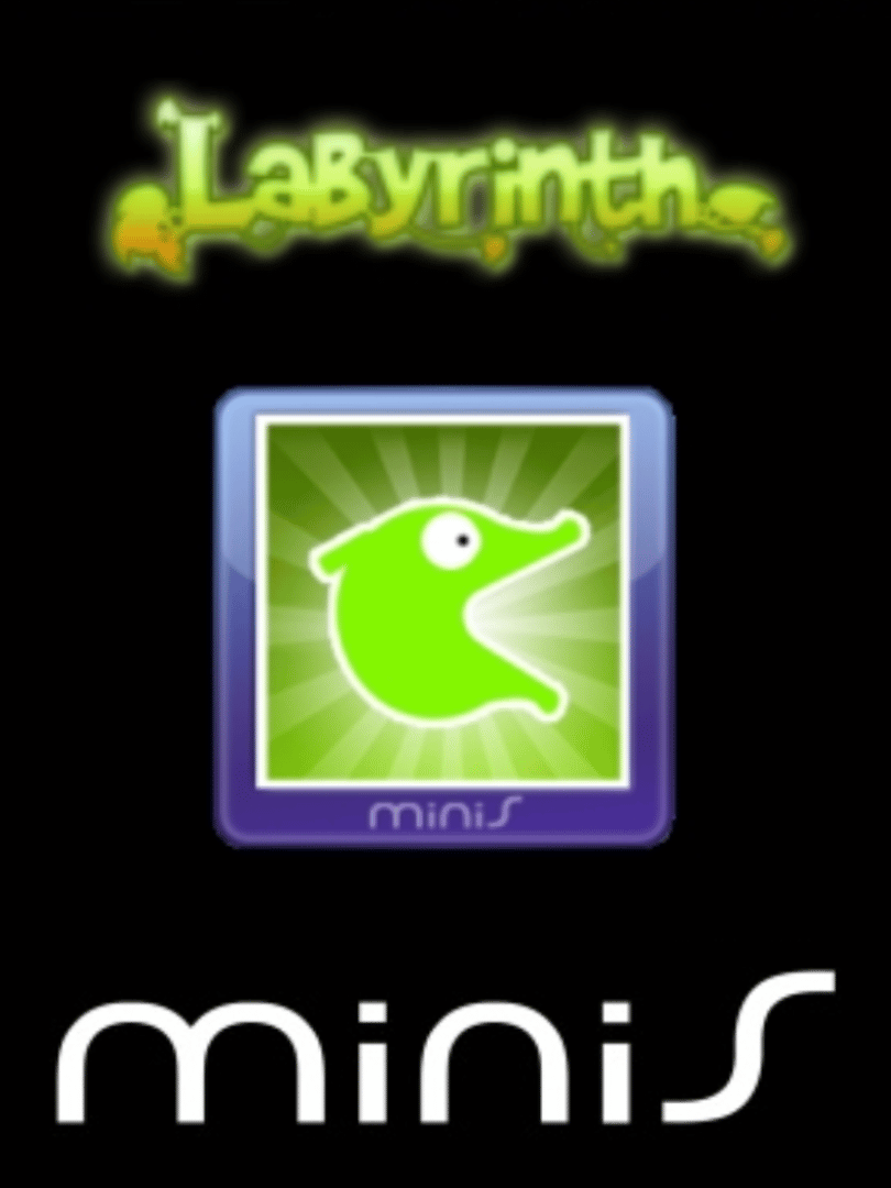 Labyrinth Cover