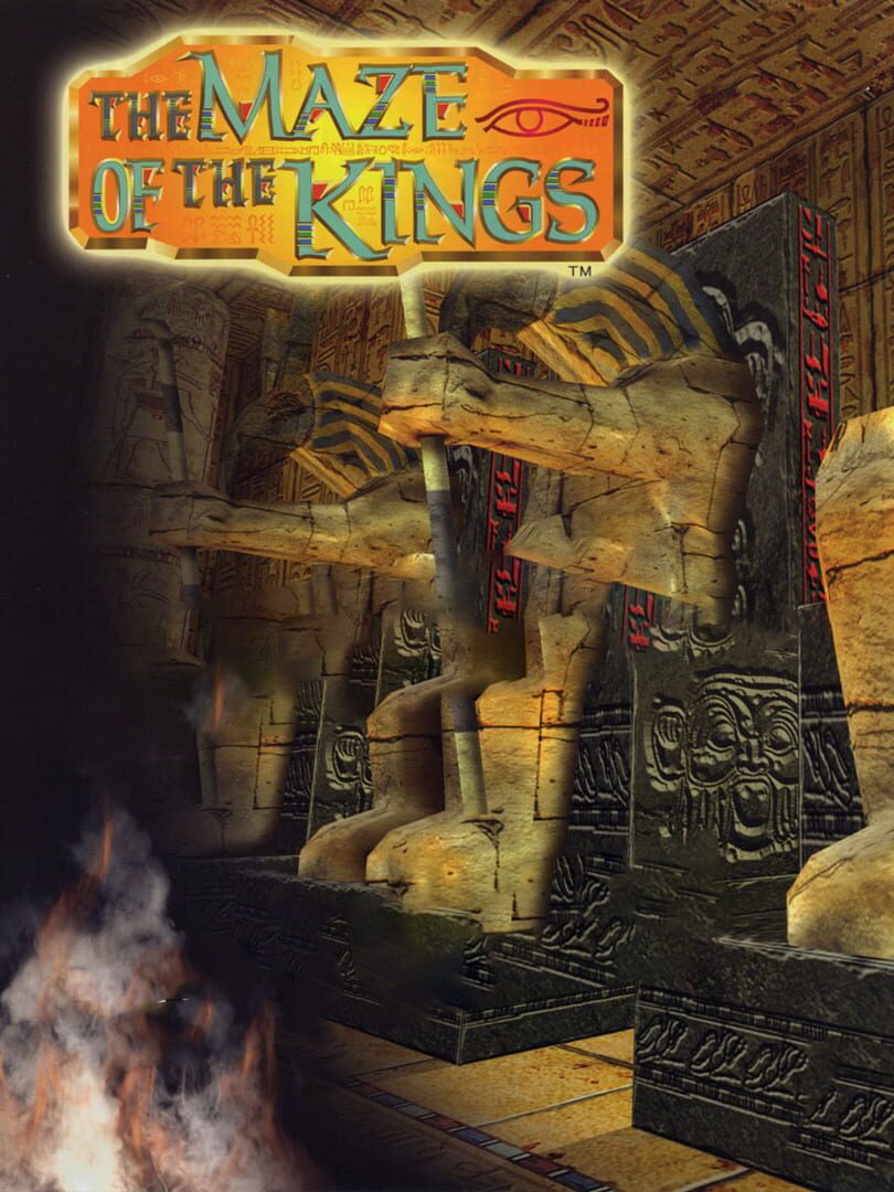 Cover image of The Maze of the Kings