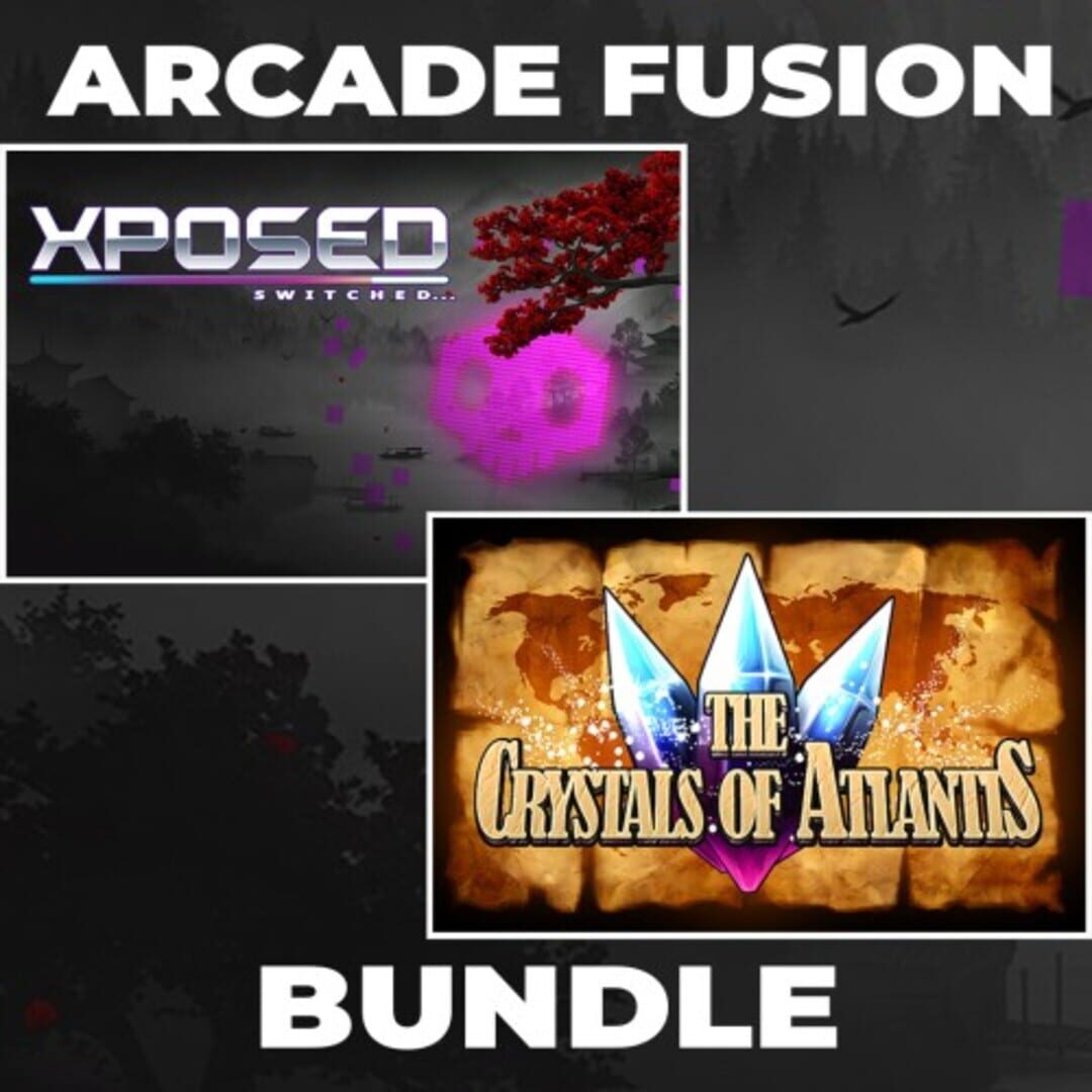 Bundle : Arcade Fusion Bundle