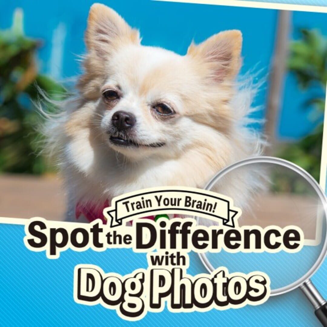 Jeu : Train Your Brain! Spot the Difference with Dog Photos