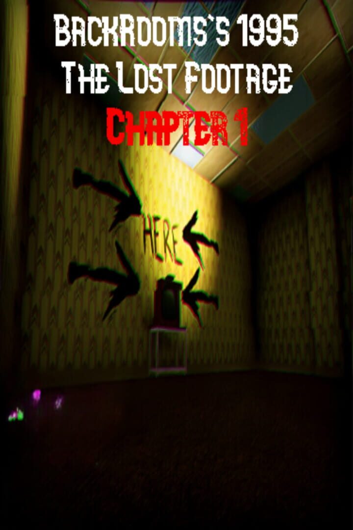 BackRooms's 1995: The Lost Footage - Chapter1