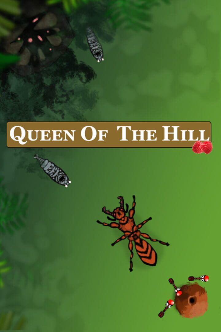 Queen of The Hill