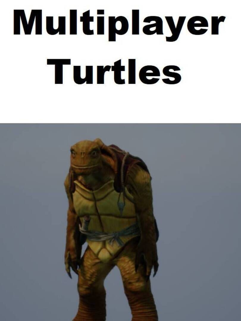 Multiplayer Turtles