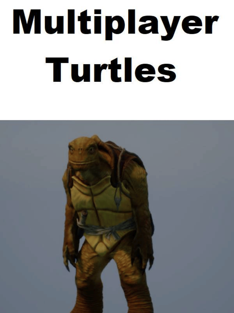 Multiplayer Turtles Cover