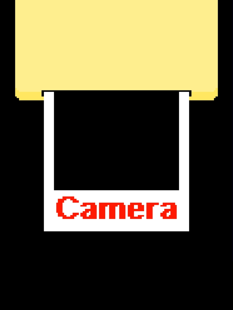 Camera Cover