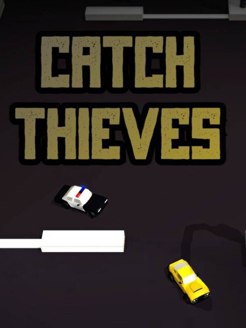 Catch Thieves