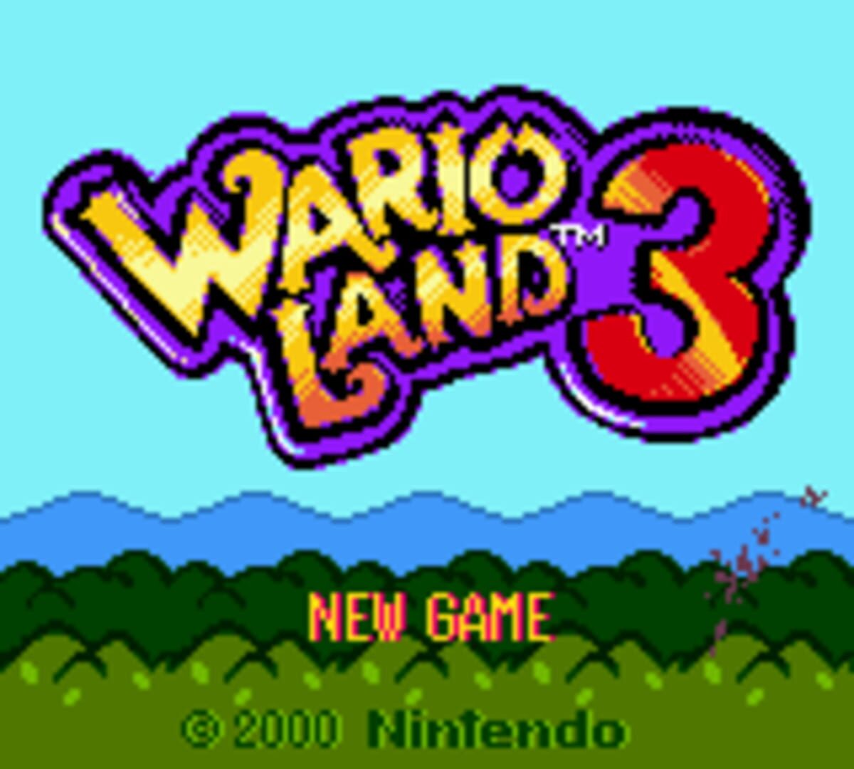 Wario Land 3: The Master Quest (2018)