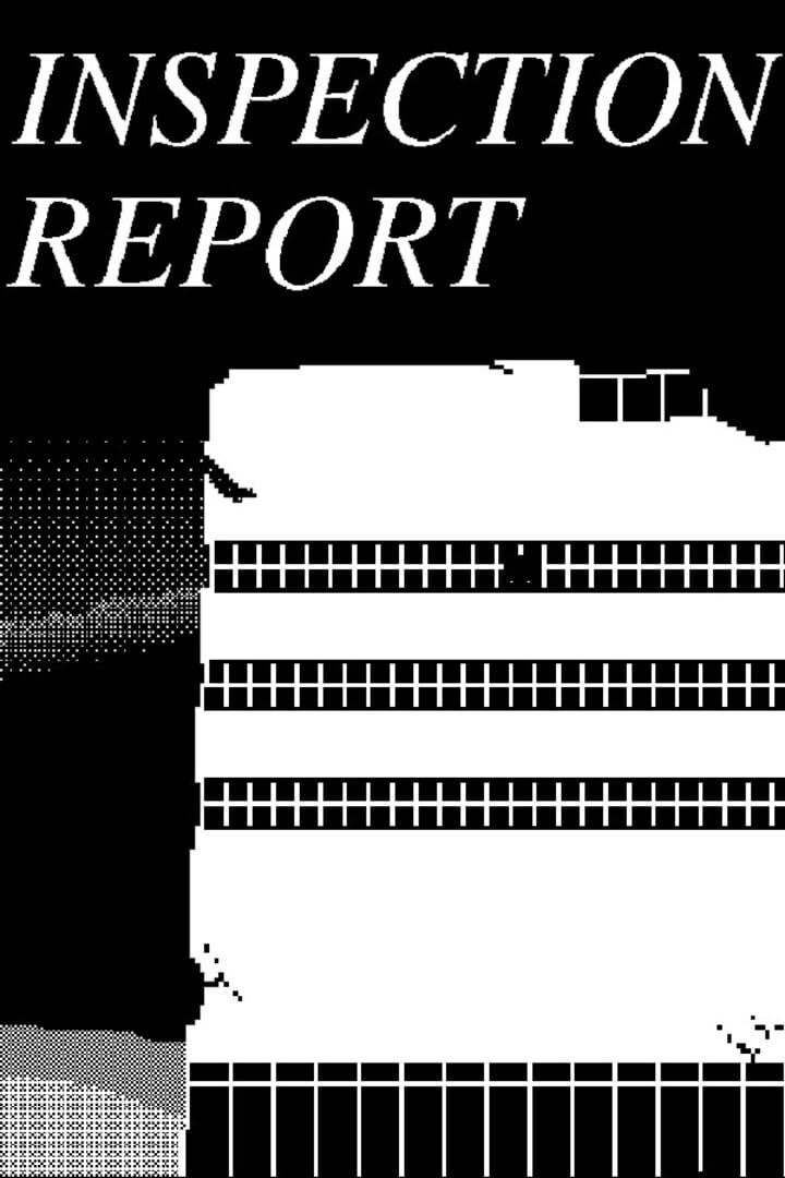 Inspection Report (2025)