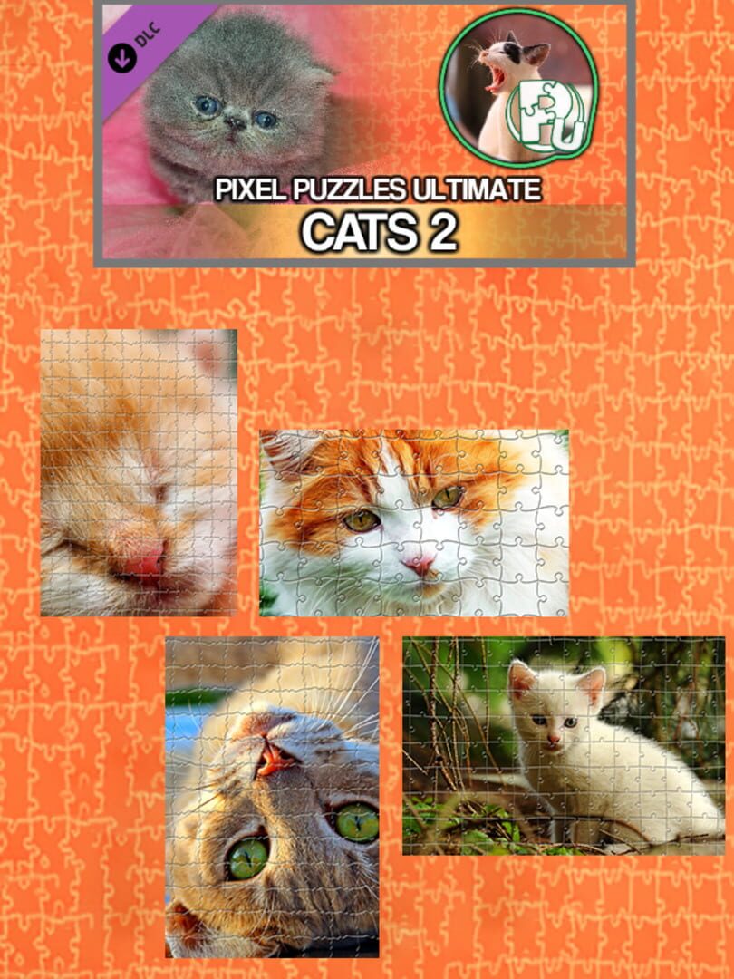 DLC : Pixel Puzzles Ultimate: Cats 2
