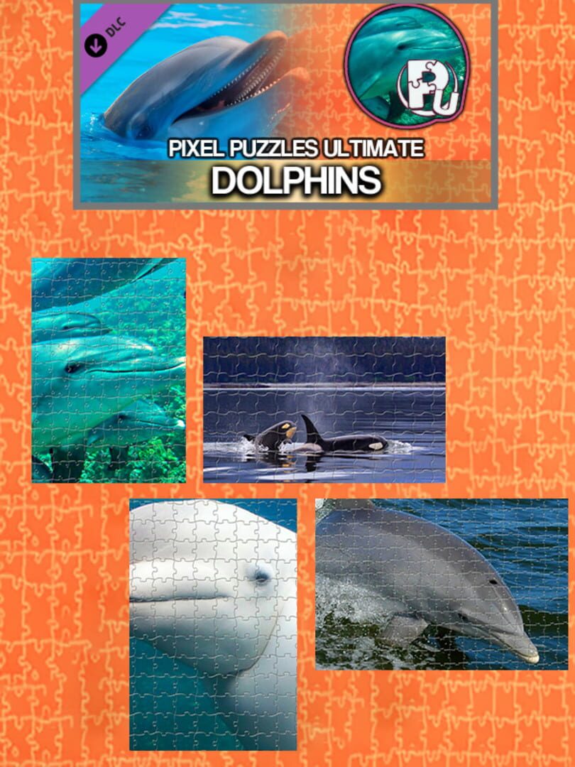 DLC : Pixel Puzzles Ultimate: Dolphins