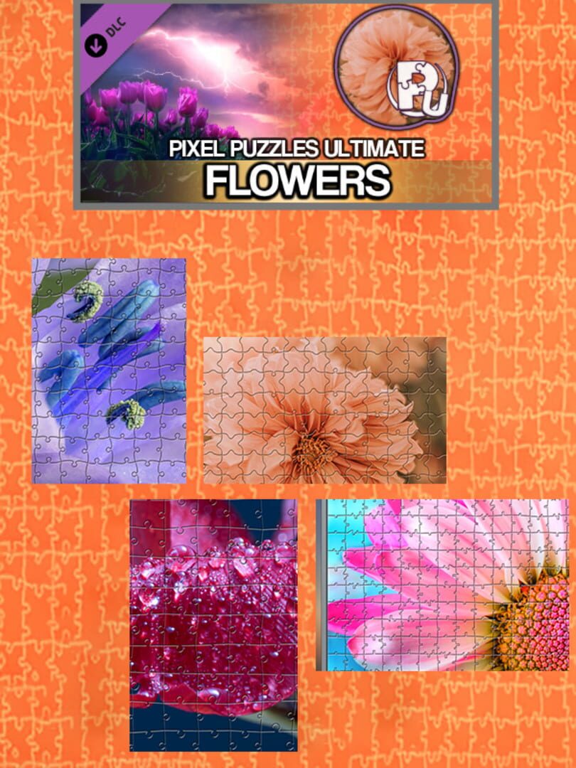 DLC : Pixel Puzzles Ultimate: Flowers