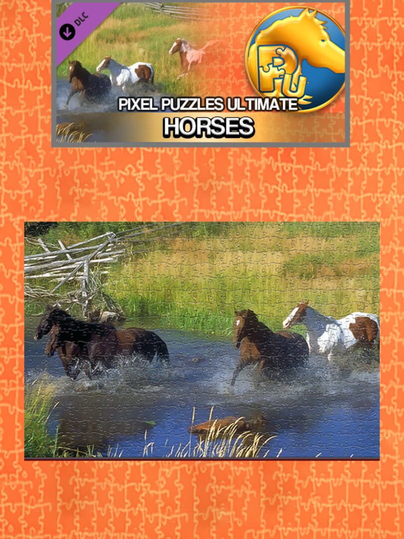 DLC : Pixel Puzzles Ultimate: Horses