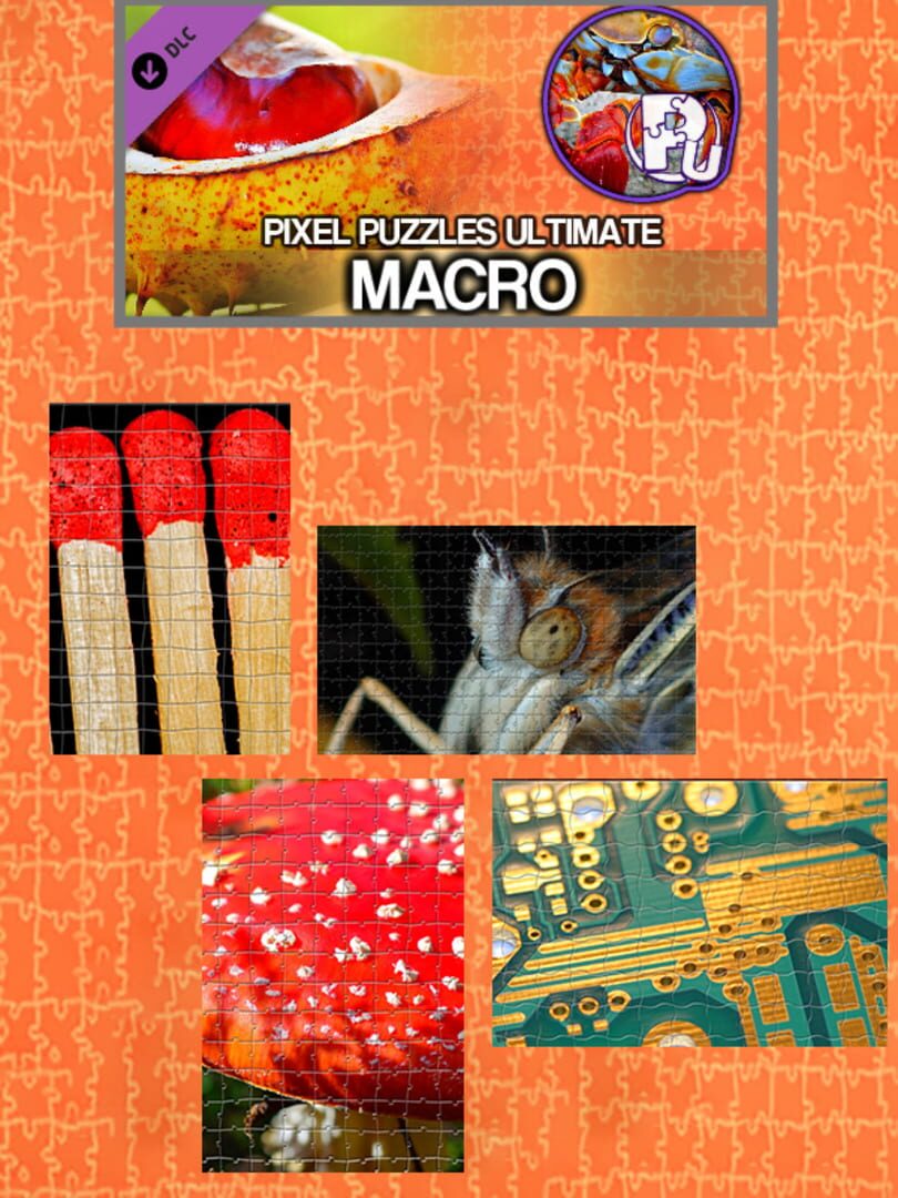 DLC : Pixel Puzzles Ultimate: Macro