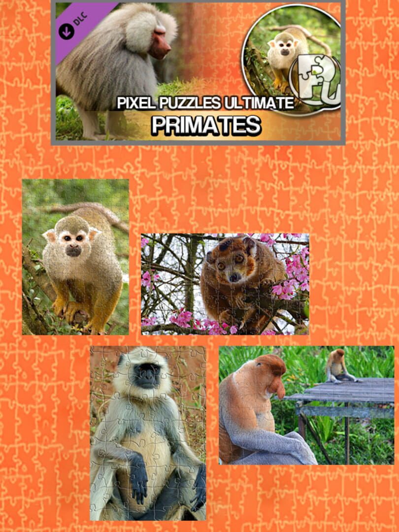 DLC : Pixel Puzzles Ultimate: Primates